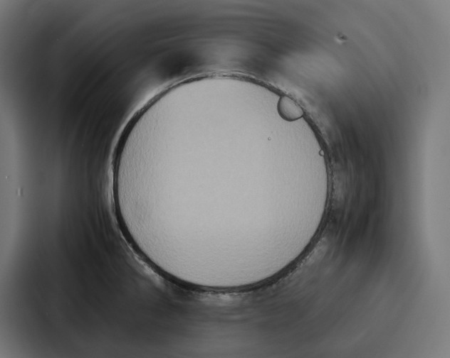 X0000087321286200705112129