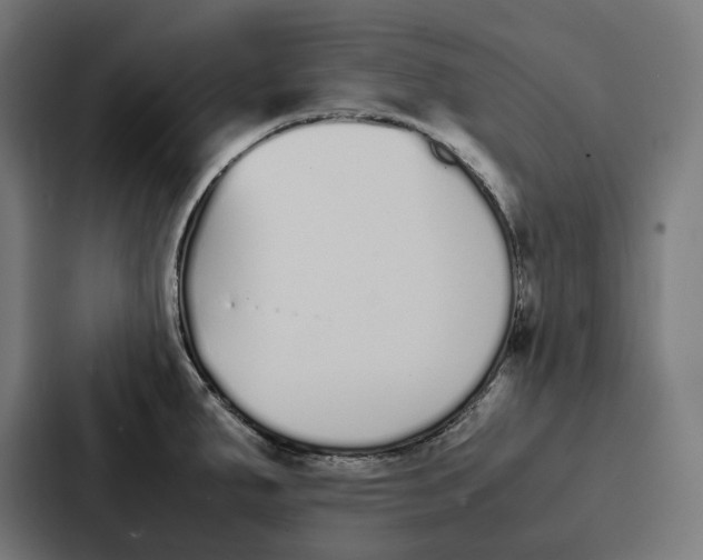 X0000087321287200705112129