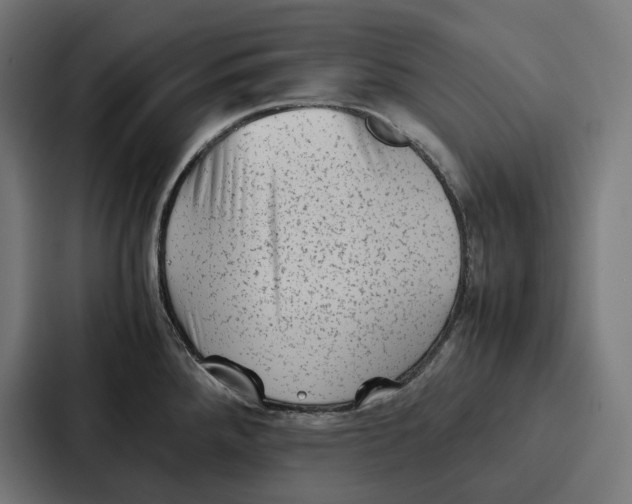 X0000087321288200705112129