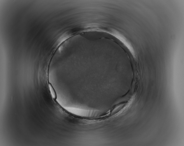 X0000087321289200705112129