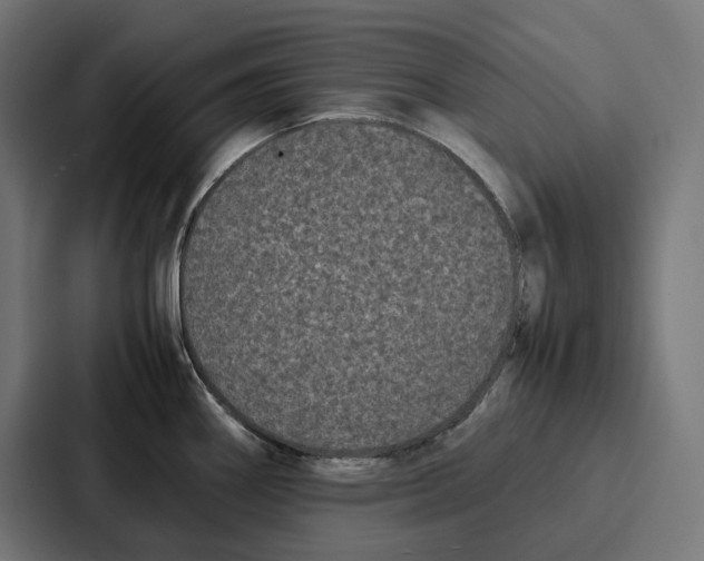 X0000087321290200705112129