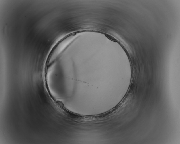 X0000087321291200705112129