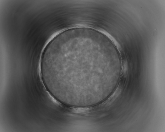 X0000087321294200705112129