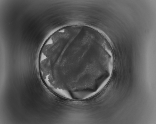 X0000087321295200705112129