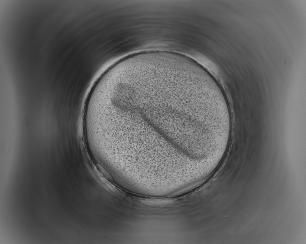 X0000087321296200705112129