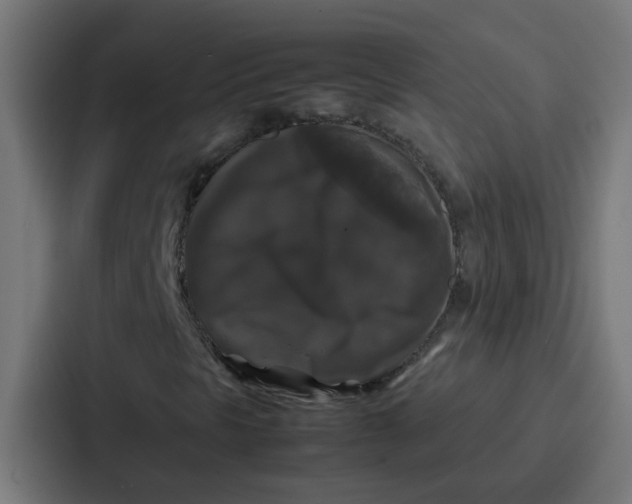 X0000087321297200705112129