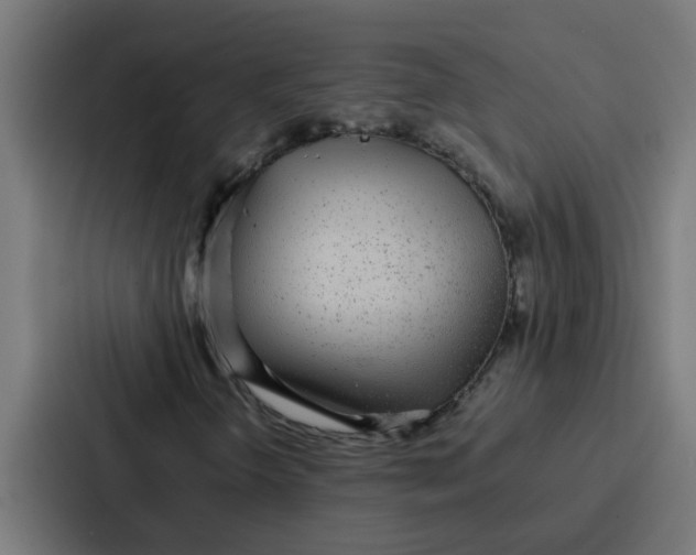 X0000087321298200705112129