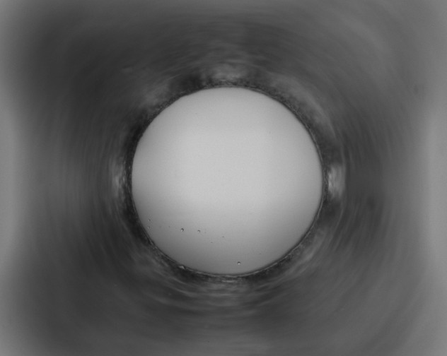 X0000087321299200705112129