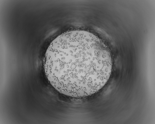 X0000087321302200705112129