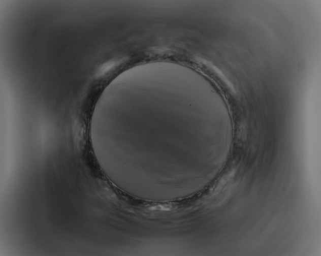 X0000087321303200705112129