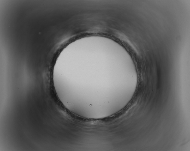 X0000087321304200705112129