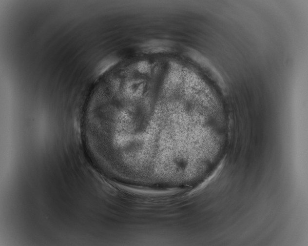 X0000087321305200705112129