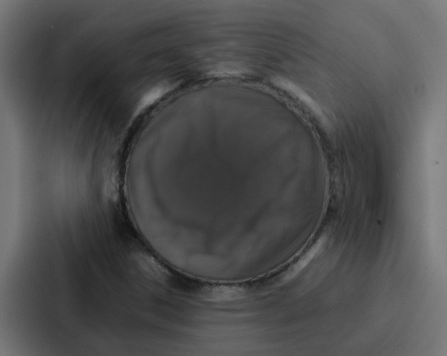 X0000087321306200705112129