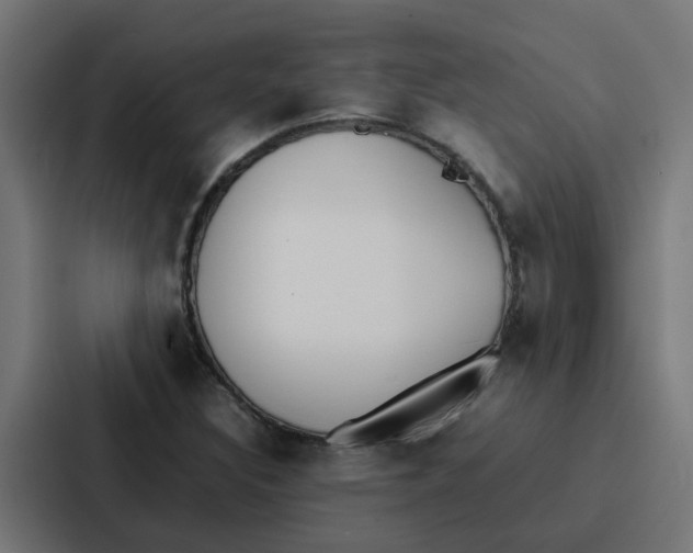 X0000087321308200705112129