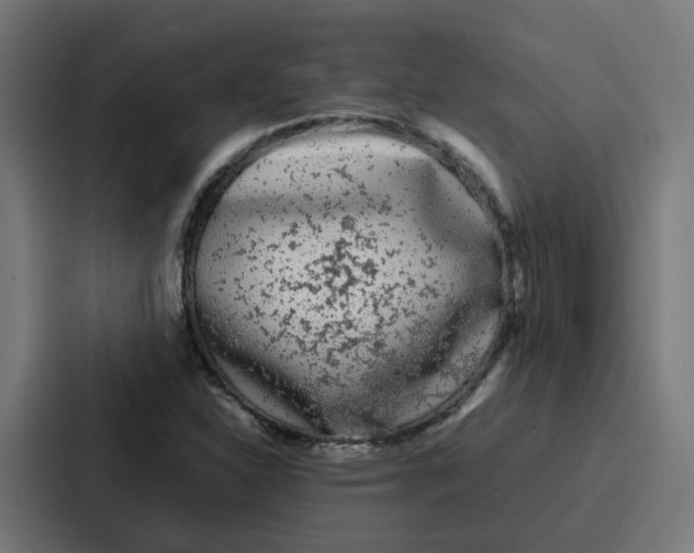 X0000087321310200705112129