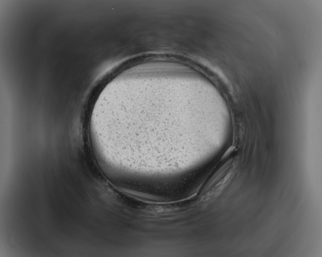 X0000087321311200705112129