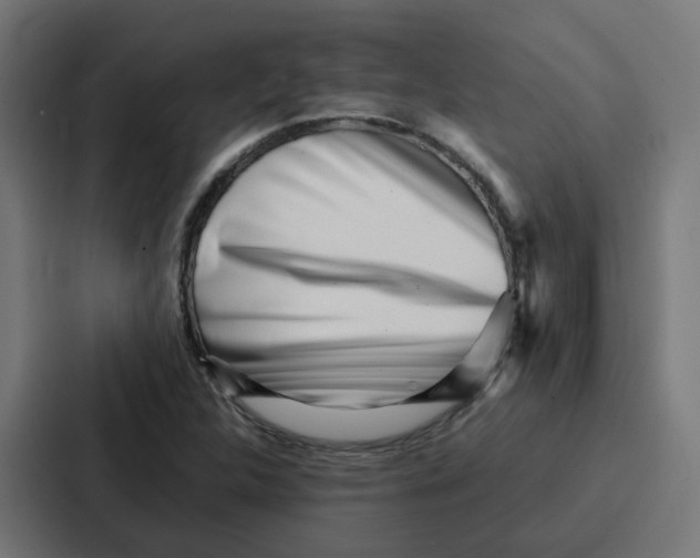 X0000087321312200705112129