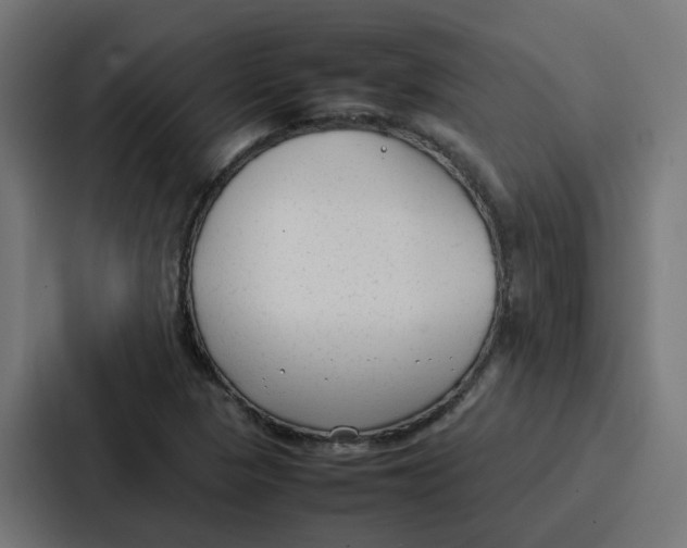 X0000087321313200705112129