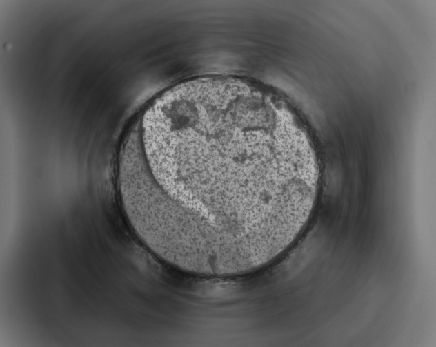 X0000087321314200705112129