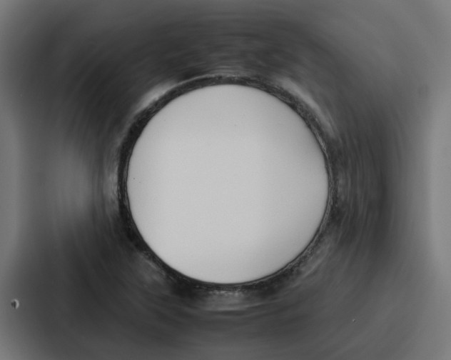 X0000087321315200705112129