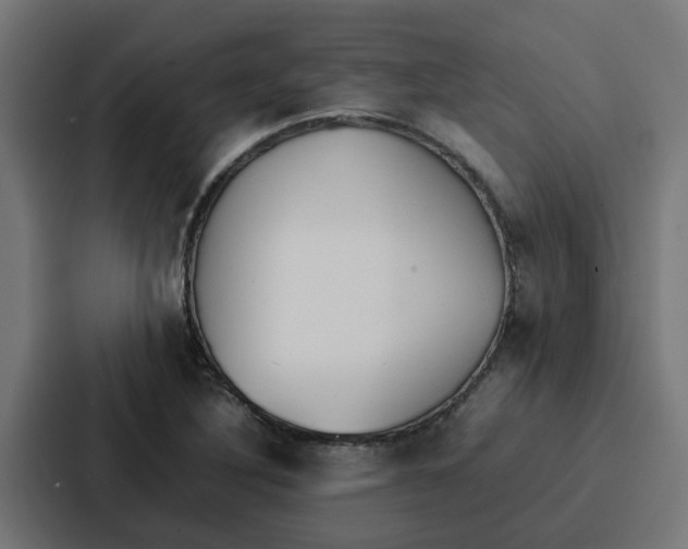 X0000087321316200705112129