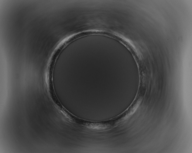 X0000087321319200705112129