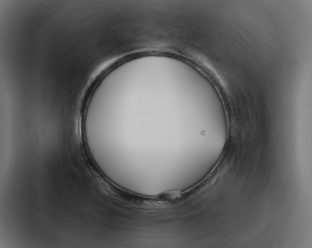 X0000087321320200705112129