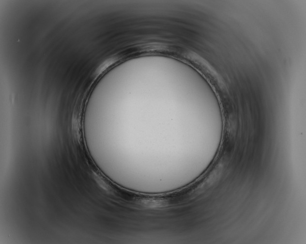 X0000087321321200705112129