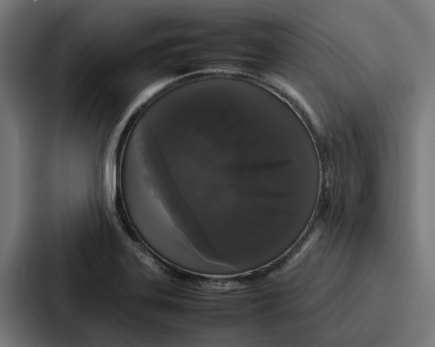 X0000087321323200705112129