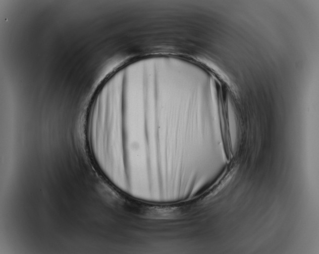 X0000087321325200705112129