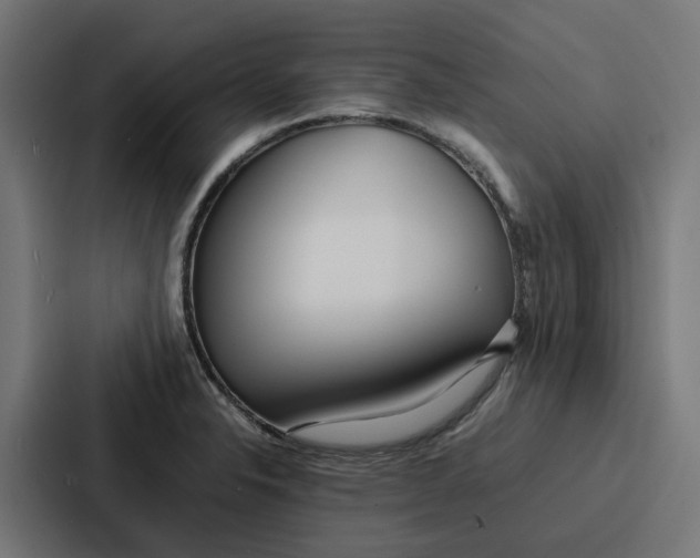 X0000087321326200705112129