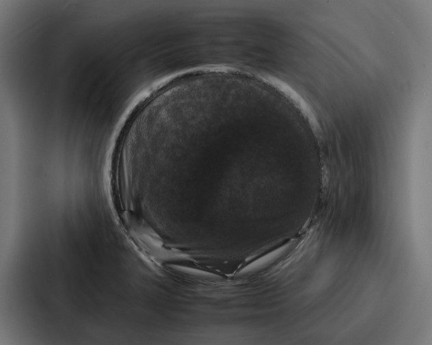 X0000087321327200705112129