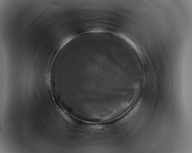 X0000087321329200705112129