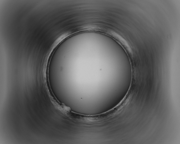 X0000087321330200705112129