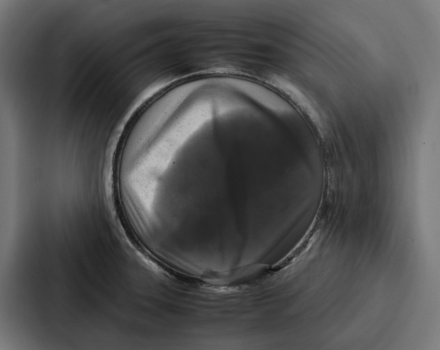 X0000087321331200705112129