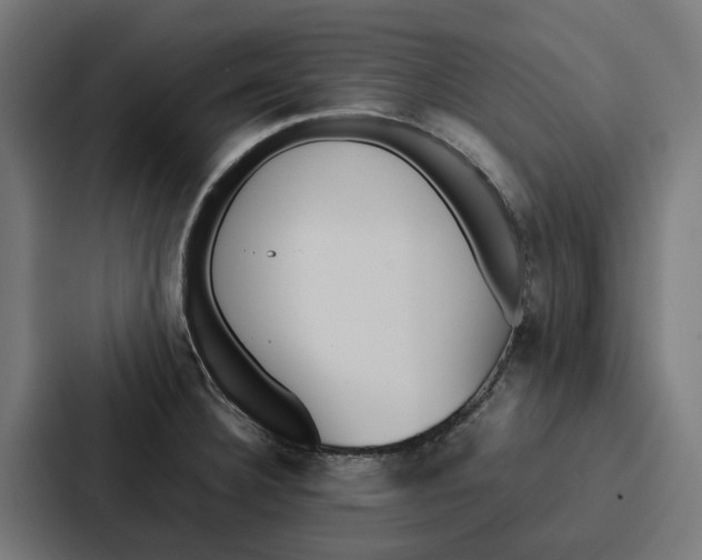 X0000087321332200705112129