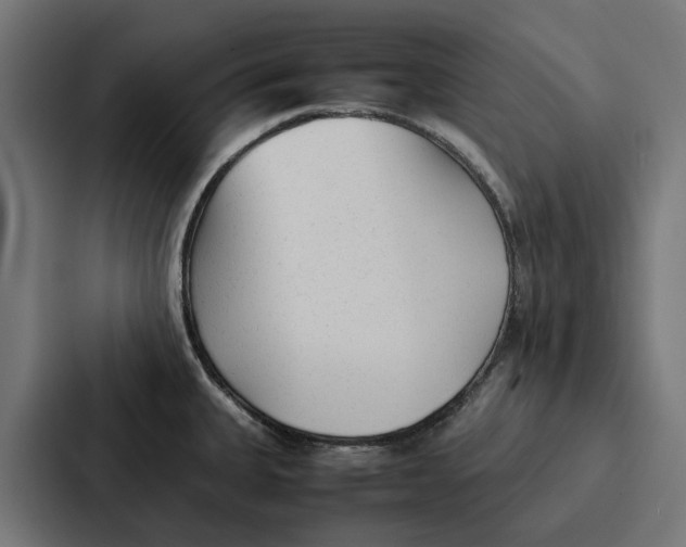 X0000087321335200705112129