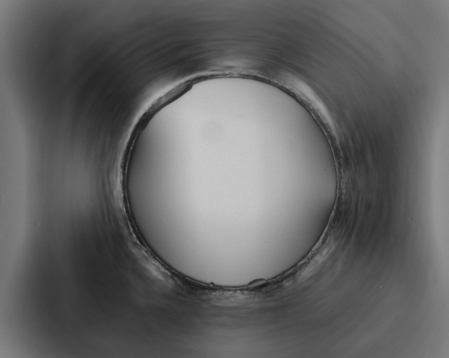 X0000087321336200705112129