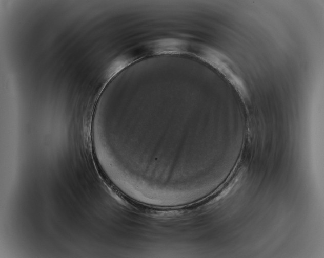 X0000087321337200705112129