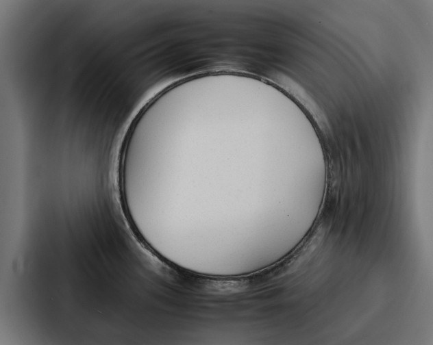 X0000087321339200705112129