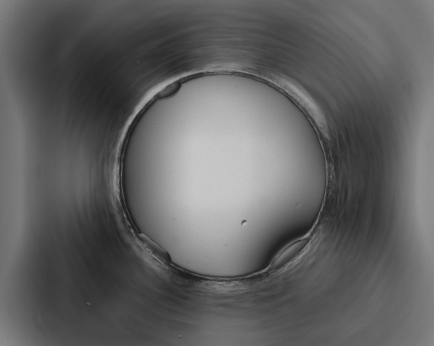 X0000087321340200705112129