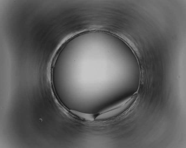 X0000087321342200705112129