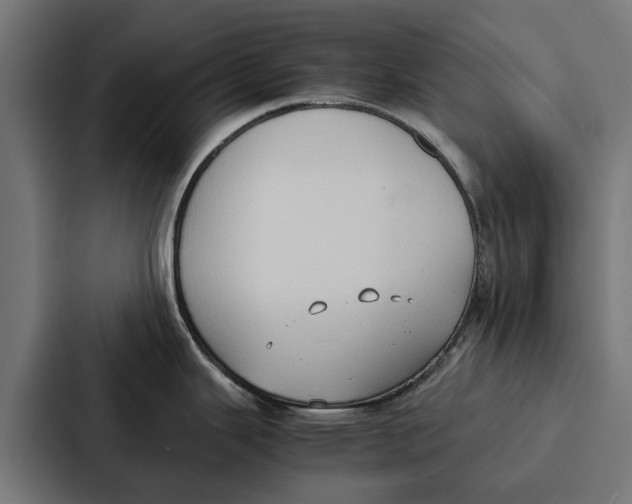 X0000087321343200705112129