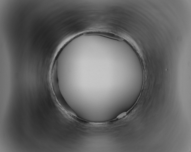 X0000087321344200705112129