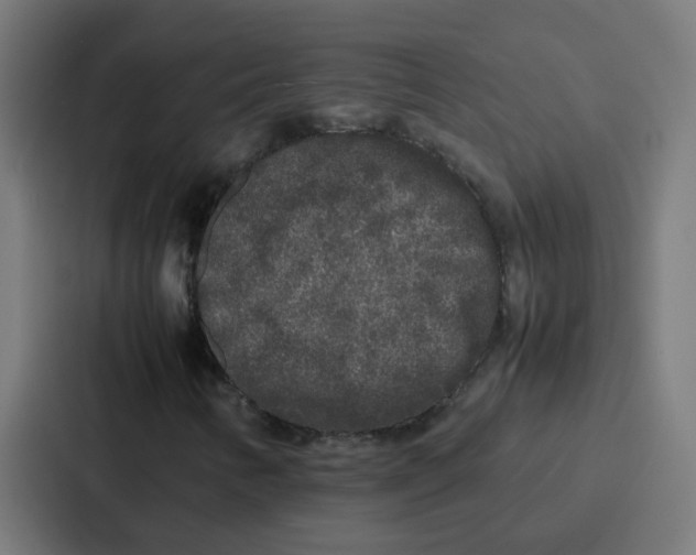 X0000087321346200705112129