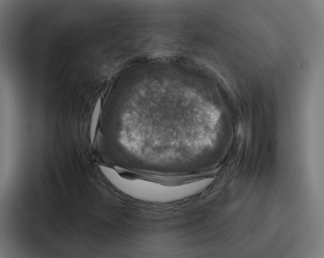 X0000087321348200705112129