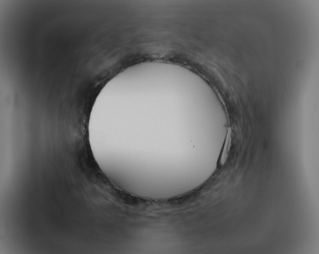 X0000087321349200705112129