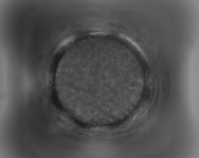 X0000087321351200705112129