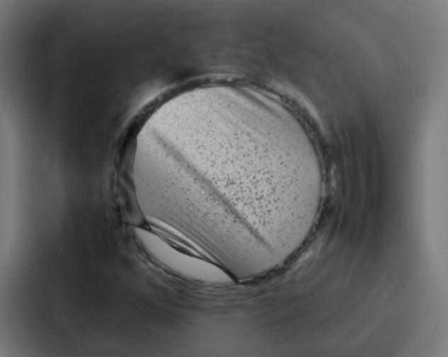 X0000087321352200705112129