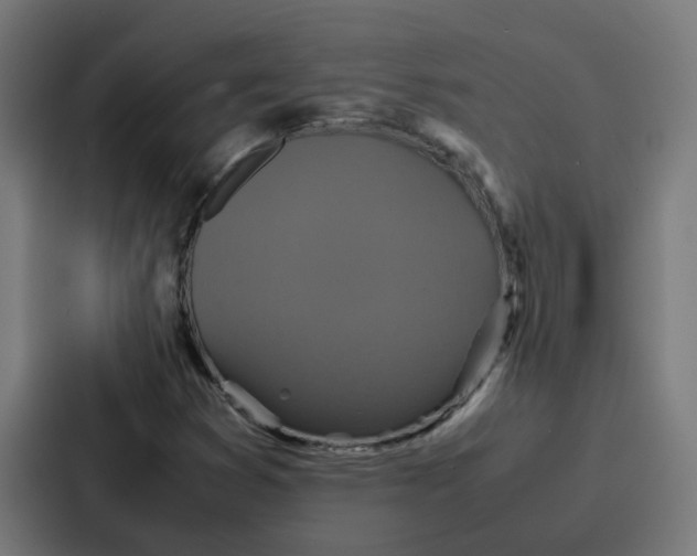 X0000087321353200705112129